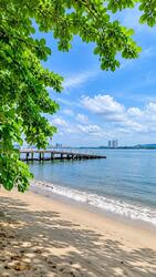 Sembawang Straits Estate (D27), Terrace #636080491
